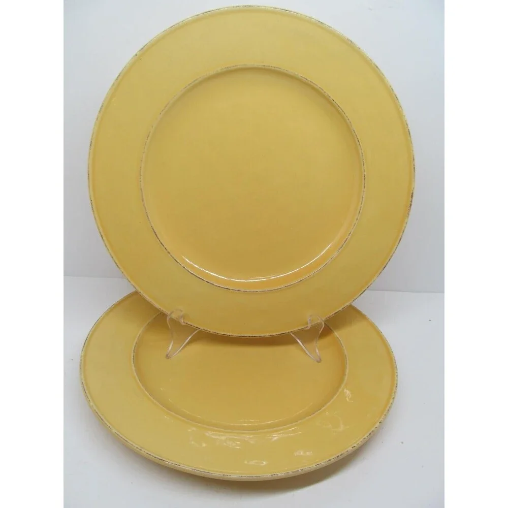 Pier 1 Mango Yellow Rustic 10 3/4
